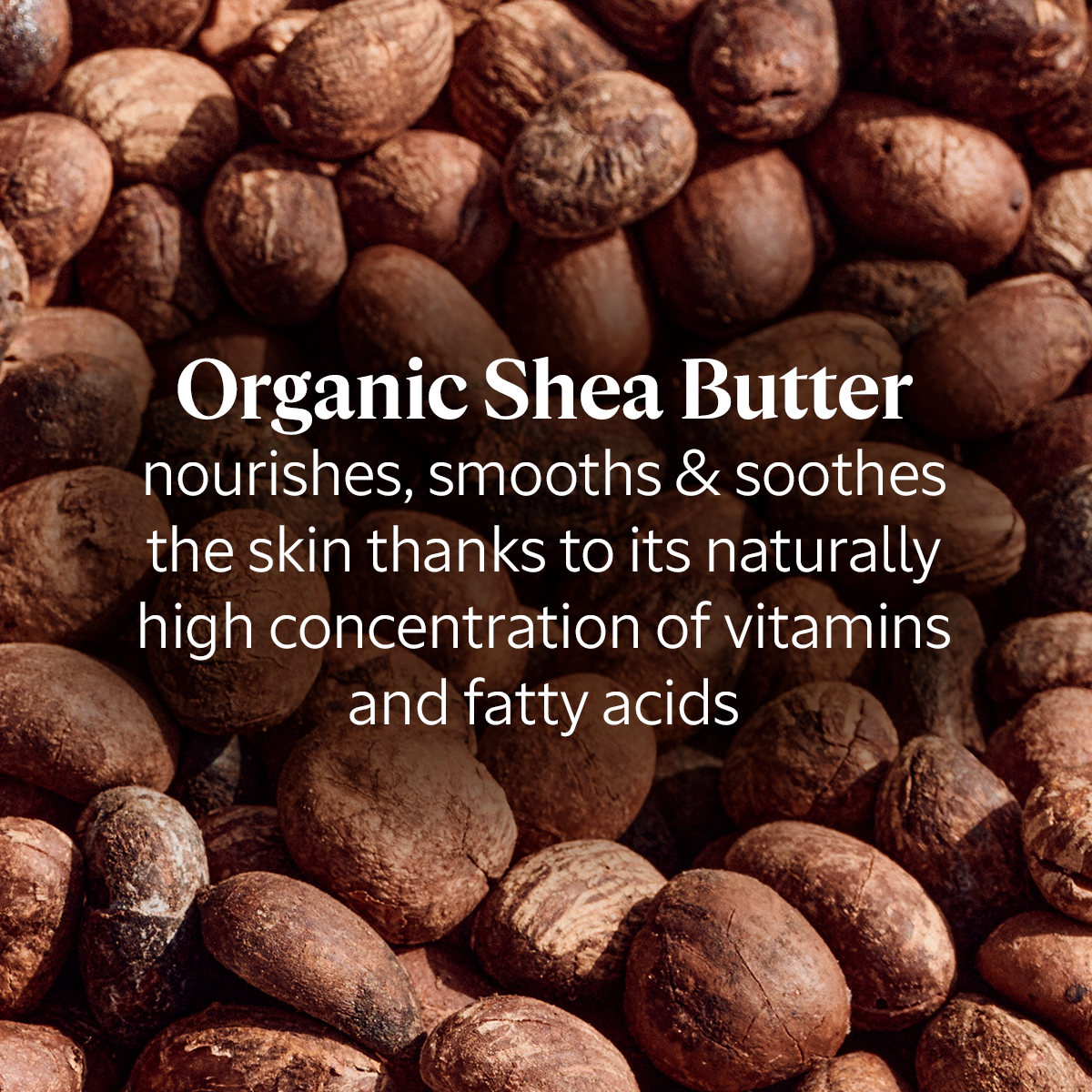 Shea Butter Intensive Foot Balm