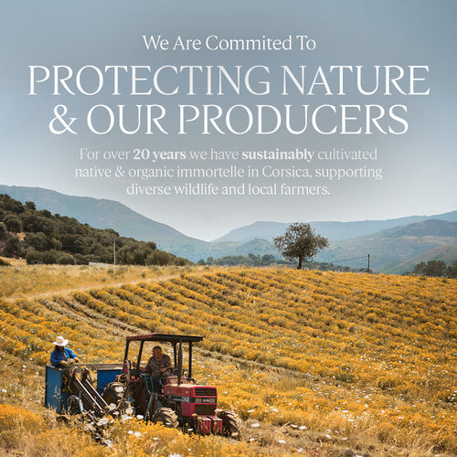 Immortelle Divine Cream