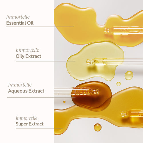 Immortelle Divine Cream