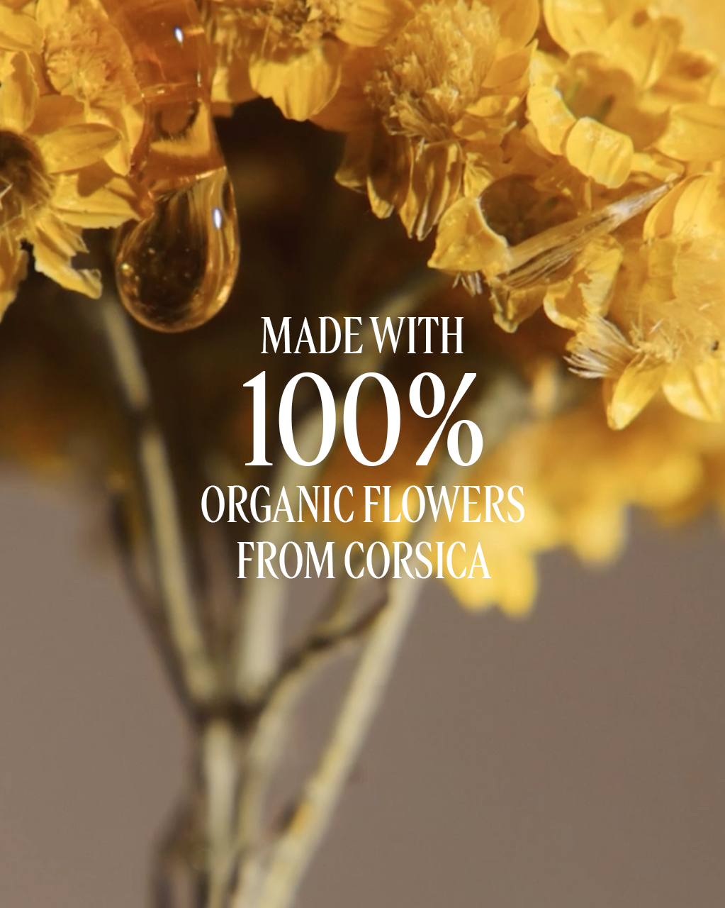 Immortelle Overnight Reset Oil-in-Serum 50Ml