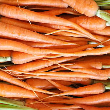 Featured Ingredient - L'Occitane