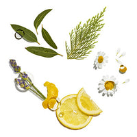 Nourishing_Care Featured Ingredient - L'Occitane